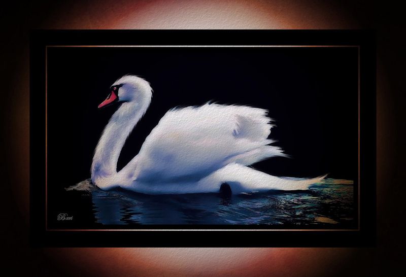 The Swan