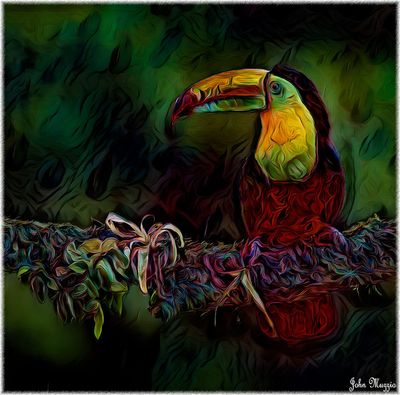 Parrot