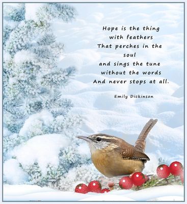 Quote about Hope