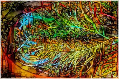 Two Feathers