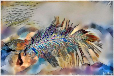 Feather