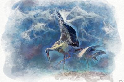 Bird