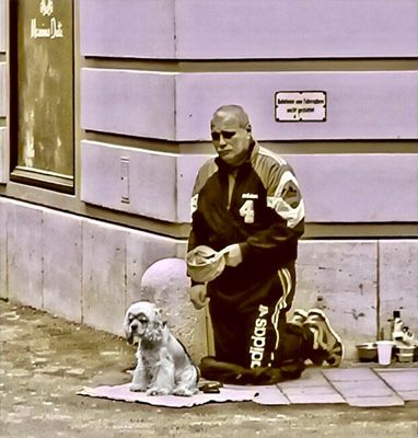 Donations for His Dog 