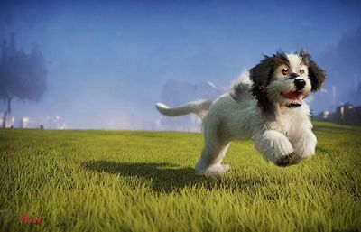 Happiness Fluffystyle