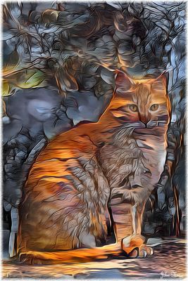 Kitty