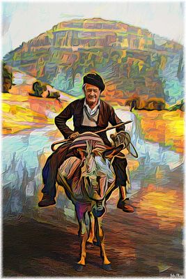 Rider