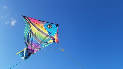g13/96/129196/3/173315822.448856df.JPEG