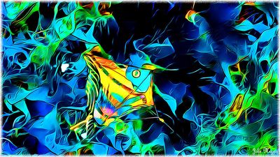 Flying in a Strange medium