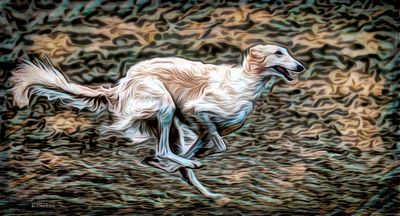 Fast