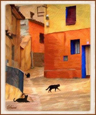Alley Cats at Home