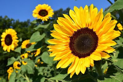 g13/96/129196/3/173371888.37a66913.JPEG