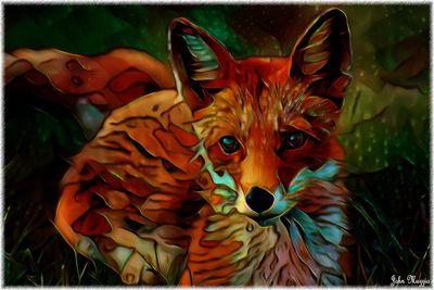 Fox