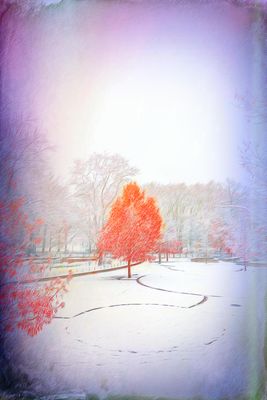 Scene