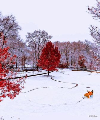 Deep Snow