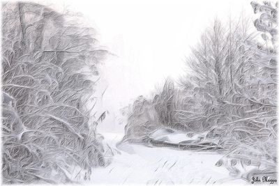 Snow Scene