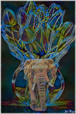 Elephant