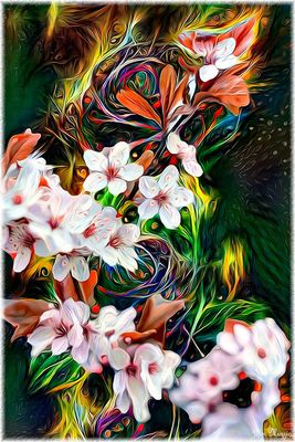 Flowers: