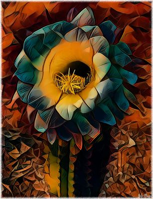 Cactus
