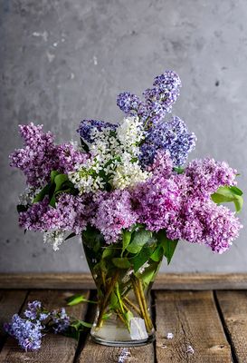 g13/96/129196/3/173592273.2deed4c2.JPEG