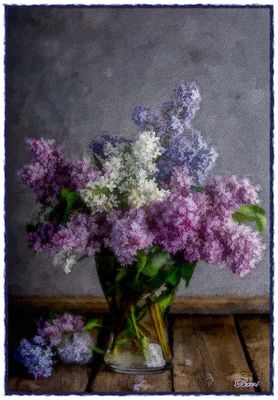 Lilacs in Oil