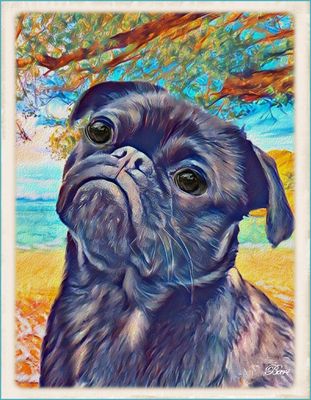 Colorful Pup