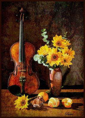 Still Life