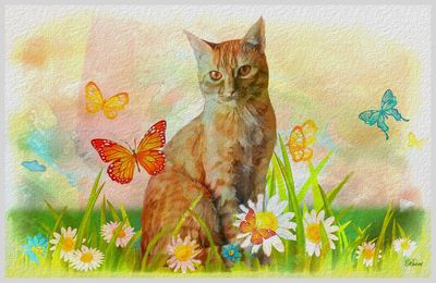 Kitty's Garden