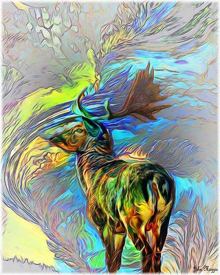 Elk