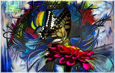 Butterfly