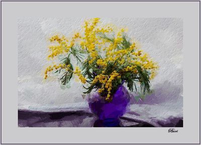 Still Life