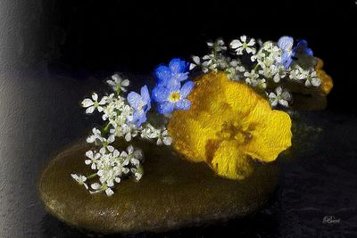 Floral Arrangement