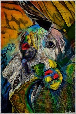 Dog