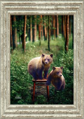 Bears in the Forest