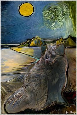Animal
