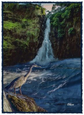Waterfall is Home