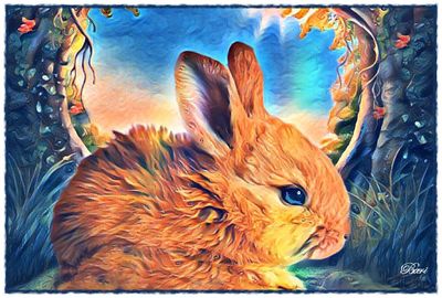 Colorful Bunny