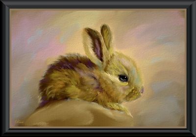 Bunny Love