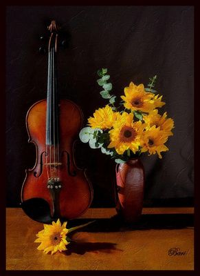 Still Life