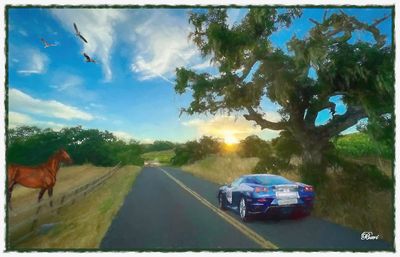 The Road Trip