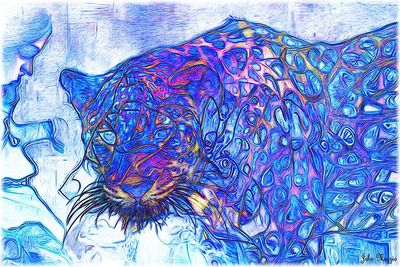 Animal