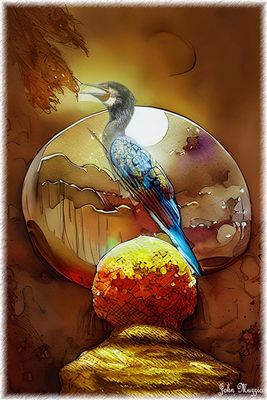 Bird