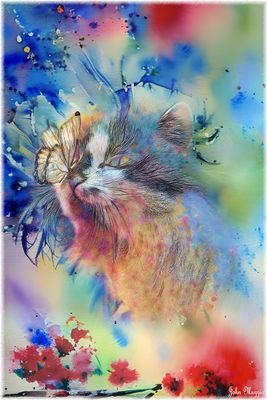 Kitty and Butterfly