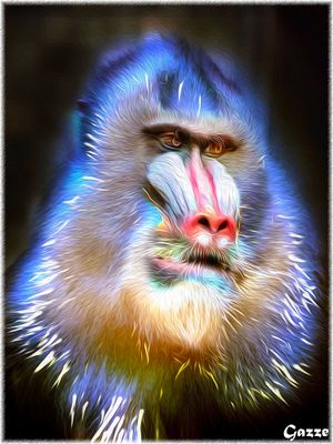 Animal