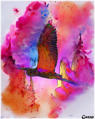 Bird