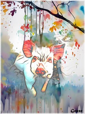 Piggy