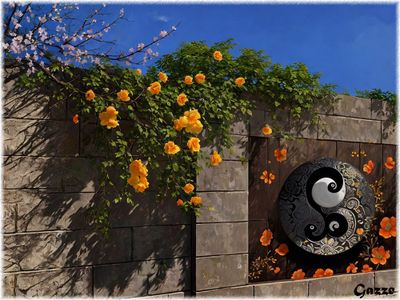Wall
