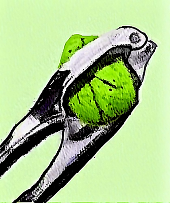 g13/96/129196/3/174550250.8c7112bf.PNG