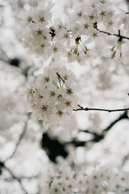 g13/96/129196/3/174687872.3a82bfe6.JPEG