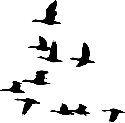 g13/96/129196/3/174687876.a36e220d.PNG