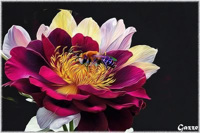 Bee in a Flower